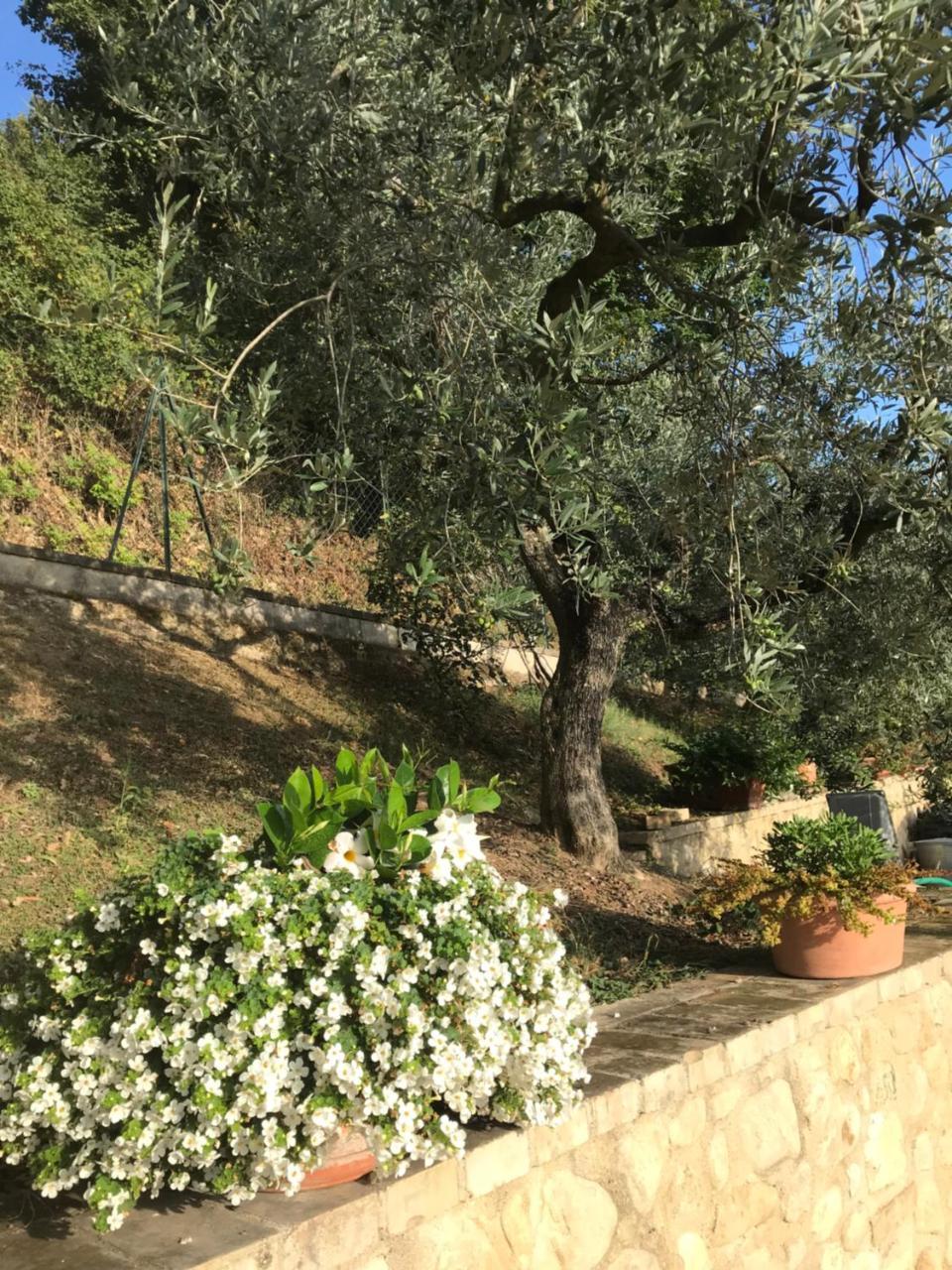 Casa Vacanze Vecciano Montefalco Kültér fotó
